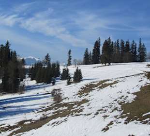 Jankulakowski-widok z kolejki  