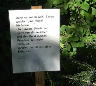 Weihnachtskrippe Talheim