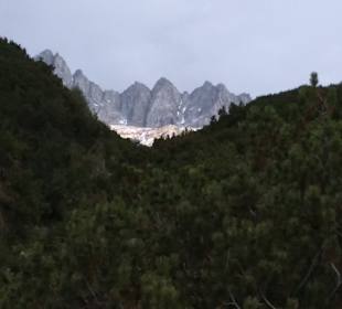 Wandern Ried im Zillertal
