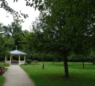 Nordic Walking Bad Mergentheim