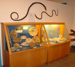 Ausstellung