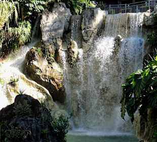 Wasserfall im Jardin Botanique de Deshaies