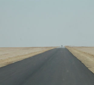 Szatt al-Dżarid