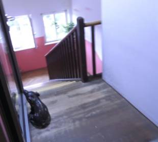 SchweineMuseum