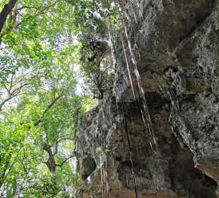 RH Tours Ausflüge Punta Cana