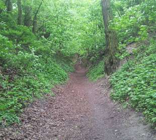 Wąwóz Świętej Królowej Jadwigi