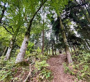 Wandern Schönberg