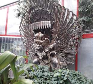 Weltvogelpark Walsrode