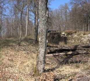 Geologischer Lehrpfad Kirnbachtal