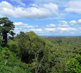 Bohol Chocolate Hills