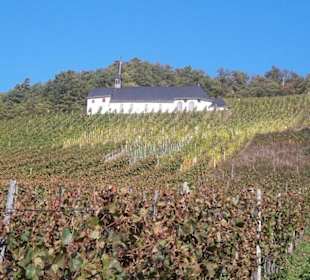 Weinberge im Leisertal