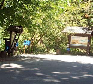 Zugang zum Wasser des Buntzen Lake