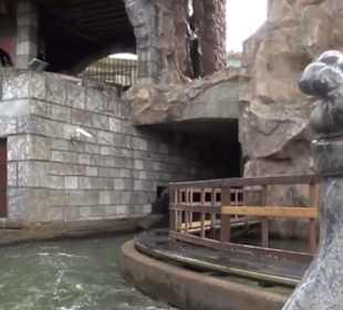 Mystery - River Quest