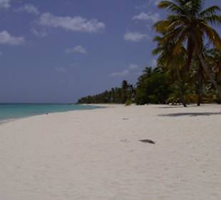 Saona Strand