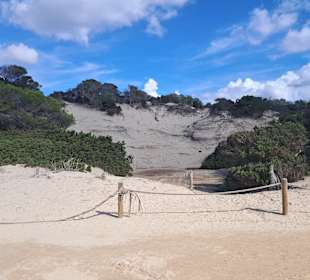 Platja de Ses Salines in Sant Josep de Sa Talaia