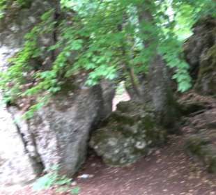 Burg Alt-Lichtenstein