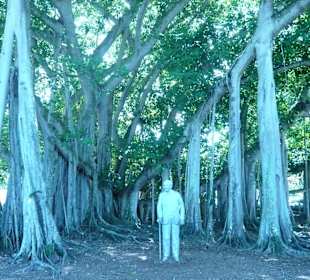 Banyan Tree mit Edison Statue