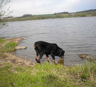 Der nahegelegene See