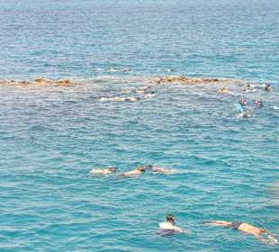 Bei einem Schnorchelgang