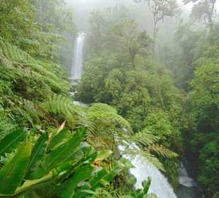 La Paz Waterfall Gardens
