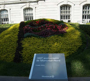 Pflanzenkunst vor dem Rathaus