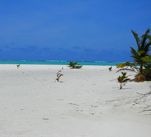 Escursione alle isole