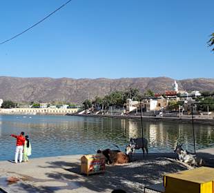 Pushkar See