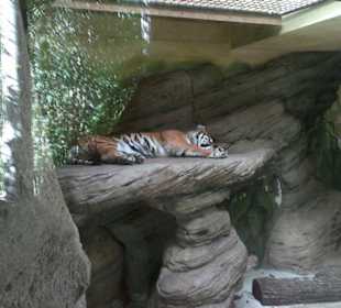 Zoo Brno