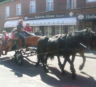 Mit der Kutsche die Insel erkunden