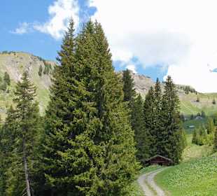 Wanderweg Vom Parkplatz Sunnegg aus