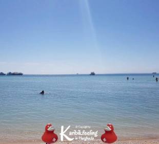 Karibikfeelingtour am Roten Meer 13.11.2017