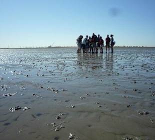 Gruppe im Watt