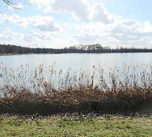 Spaziergang rund um den Baggersee