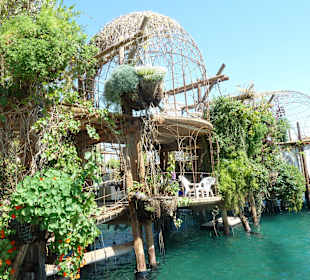 Dolphin Reef, Eilat