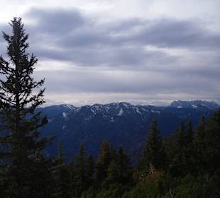 RauschbergImpressionen