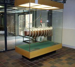 Im Meeresmuseum Stralsund