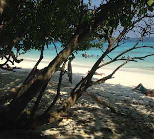 Coconuts Beach 5 Min. mit dem Tuck Tuck entfernt