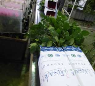 Hier wird nach Leistung sortiert und verpackt