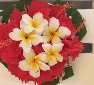 Jeden Tag frische Blumen Gepard Mama 