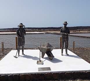 Salinas de Janubio