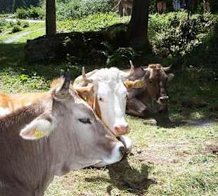 Krimmelské vodopády