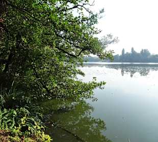 Rundgang durch den Harburger Stadtpark