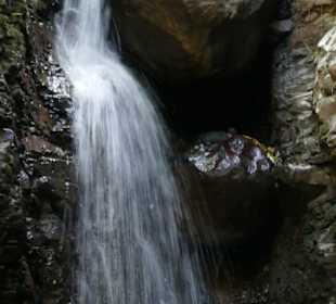 Santuario Ecológico Monteverde