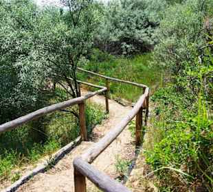 FKK-Wege hinten