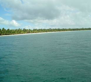 Blick auf Saona vom Katamaran