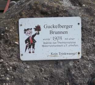 Guckelberger Brunnen Klosterreichenbach