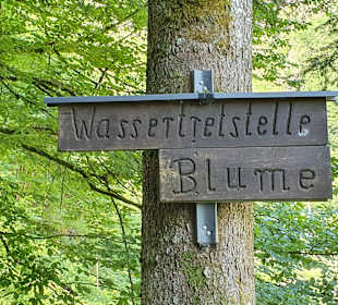 Wandern Oppenau