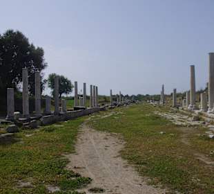 Side