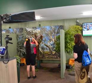 Koala Foto Station 