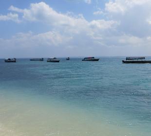 Die verschiedenen Tourboote